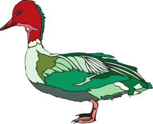 Green And Red Duck Clip Art